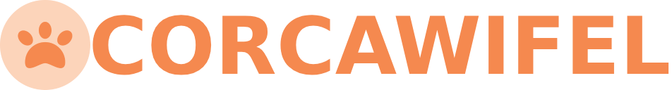 Corcawifel